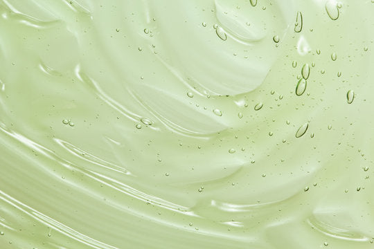 Aloe vera